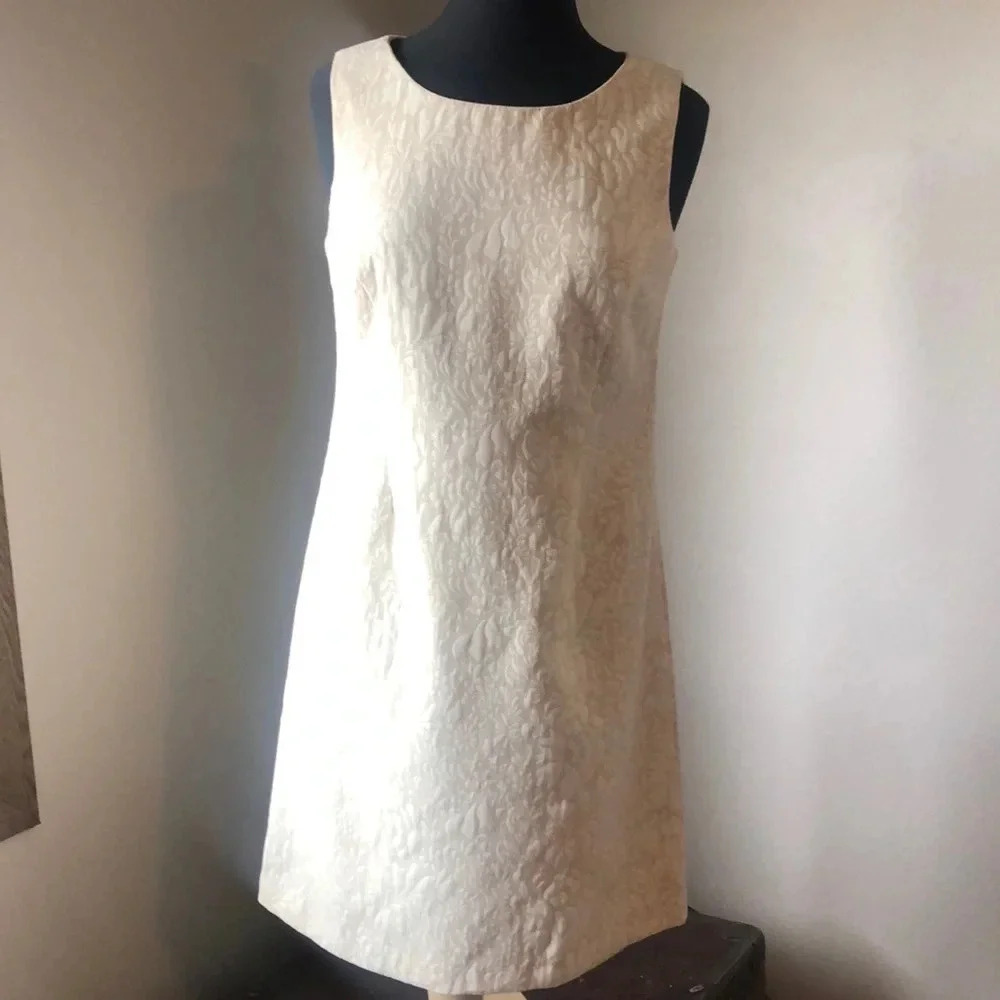 Neutral Toned Coldwater Creek‎ Dress 10